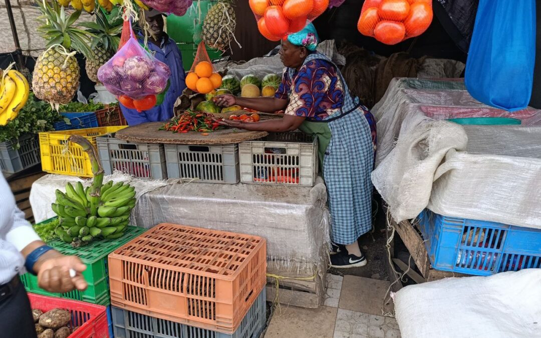 Innovating Customer Resilience for Sustainable Financial Inclusion