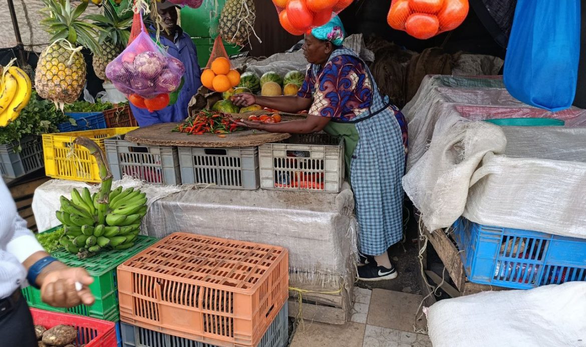 Innovating Customer Resilience for Sustainable Financial Inclusion