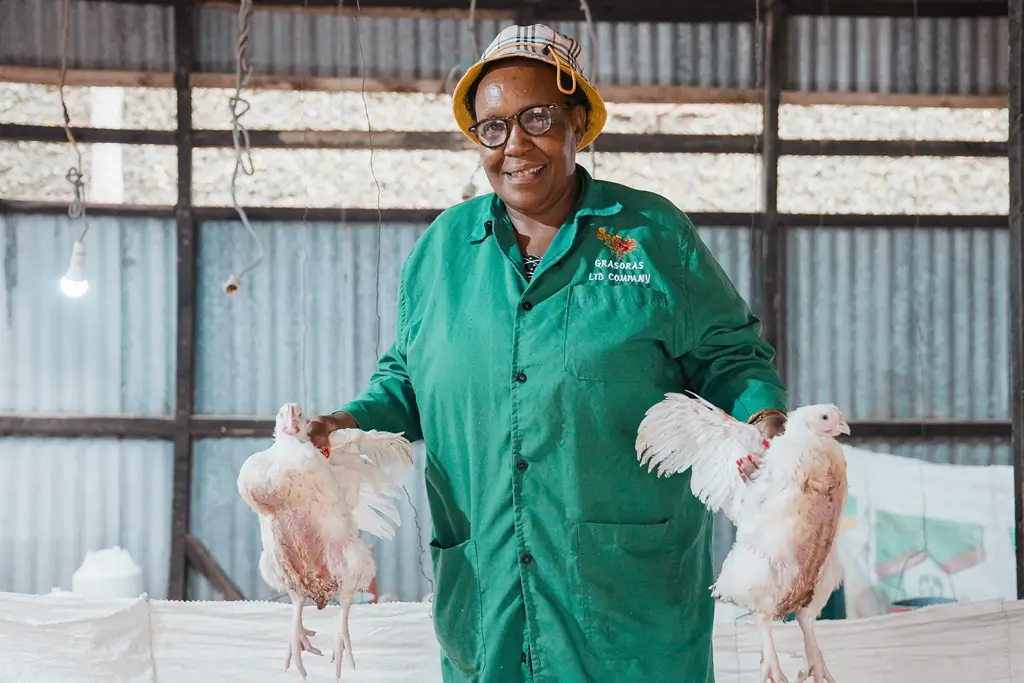 A woman hold chickens up