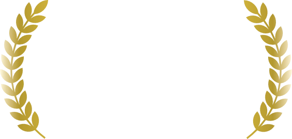 Africa's Business Heroes 2025